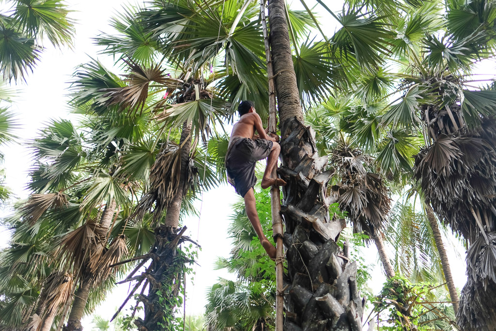 ban thamrong palm sugar