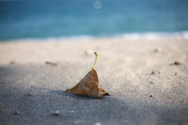 Suatu sore di Senggigi