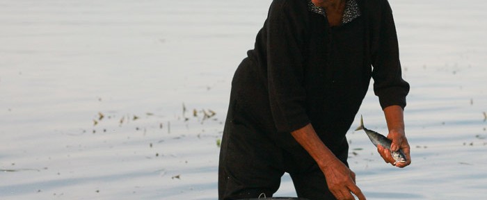 Cerita Ibu dan Seekor Ikan