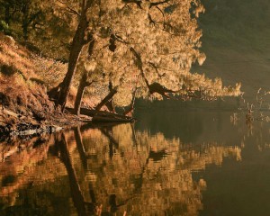 A Morning to remember