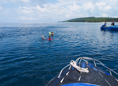Payung-payung snorkeling derawan