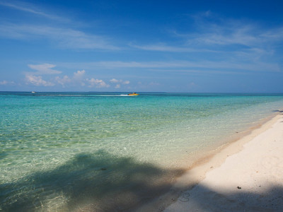 Derawan sangalaki