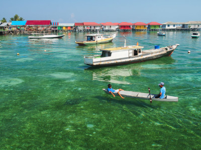 penyu derawan