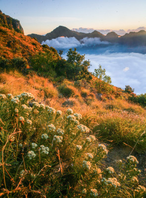plawangan sembalun rinjani