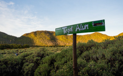Tegal alun papandayan