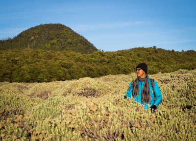 Tegal alun papandayan