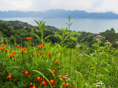 kelok 44 padang sumatera barat