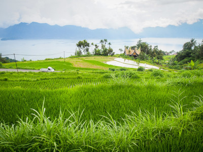 kelok 34 padang sumatera barat