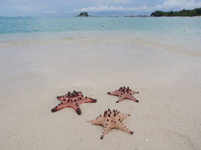 hopping island belitung