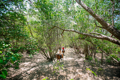 the menjangan bali resort