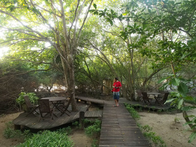 The Menjangan Jungle & Beach Resort