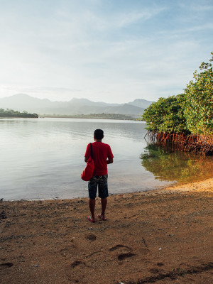 the menjangan resort jungle bali