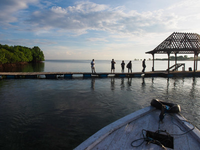 the menjangan resort jungle bali