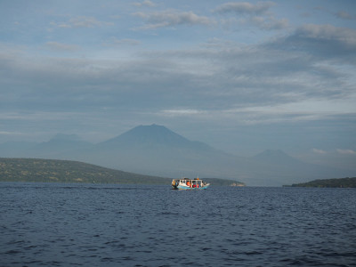 the menjangan resort jungle bali