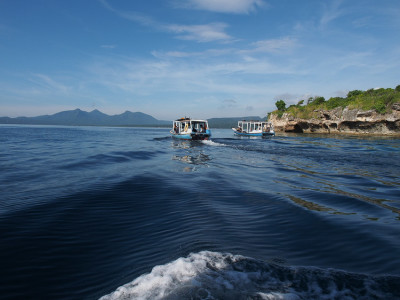 the menjangan resort jungle bali
