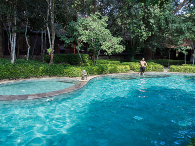 the menjangan resort jungle bali