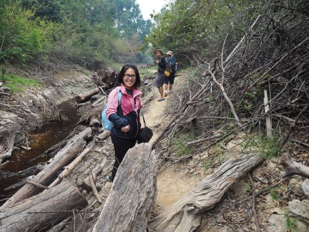 taman nasional sebangau kemarau