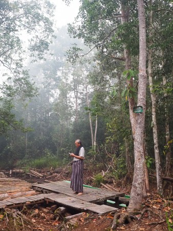 visitor camp Taman nasional sebangau
