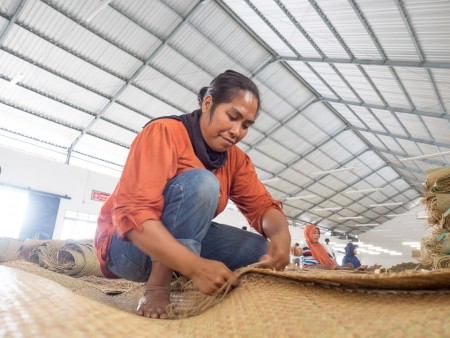 perkebunan tembakau di lombok