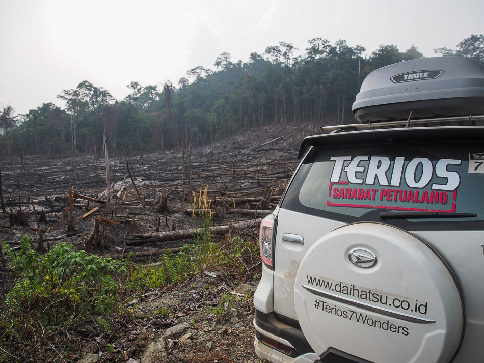hutan kalimantan terbakar
